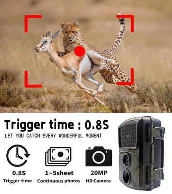 PR600A HD Hunting Camera 20MP  IP54 waterproof